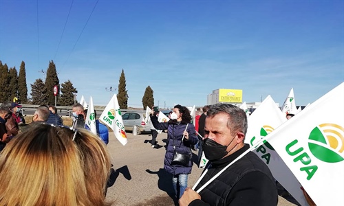 Ganaderos de Castilla y Len derraman leche junto a las industrias para...