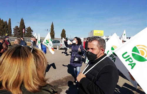 Ganaderos de Castilla y Len derraman leche junto a las industrias para...