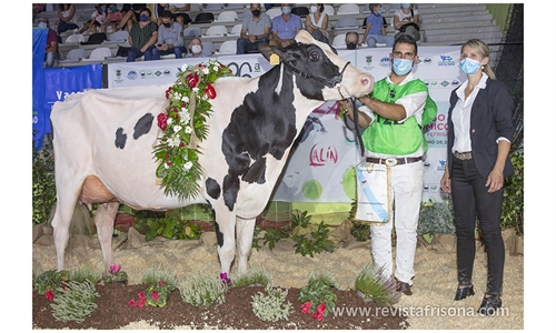 XXX Concurso Autonmico Gallego de la Raza Frisona FEFRIGA 2022