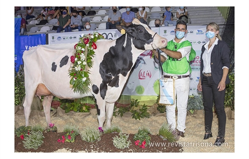 XXX Concurso Autonmico Gallego de la Raza Frisona FEFRIGA 2022