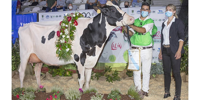 XXX Concurso Autonmico Gallego de la Raza Frisona FEFRIGA 2022