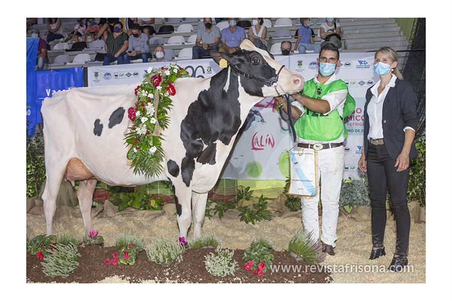 XXX Concurso Autonmico Gallego de la Raza Frisona FEFRIGA 2022