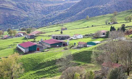 Cantabria acoger la Escuela de Jueces Ganaderos 2022
