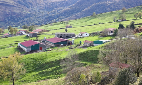 Cantabria acoger la Escuela de Jueces Ganaderos 2022