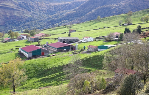 Cantabria acoger la Escuela de Jueces Ganaderos 2022