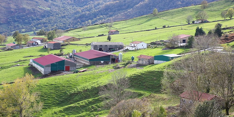 Cantabria acoger la Escuela de Jueces Ganaderos 2022