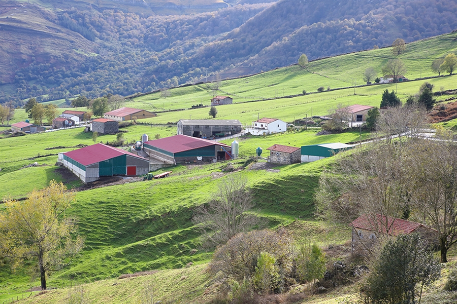 Cantabria acoger la Escuela de Jueces Ganaderos 2022