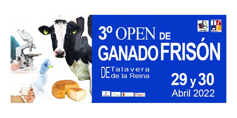 III Open de Ganado Frisn de Talavera de la Reina