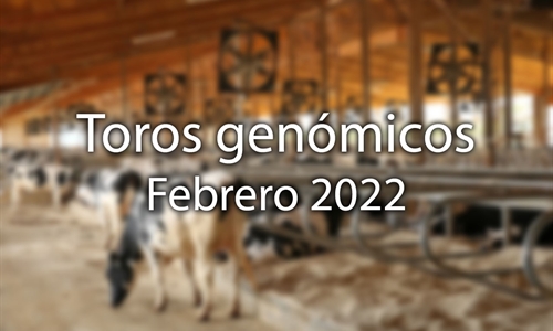 Nuevos toros genmicos con Prueba Oficial: Evaluacin genmica de...