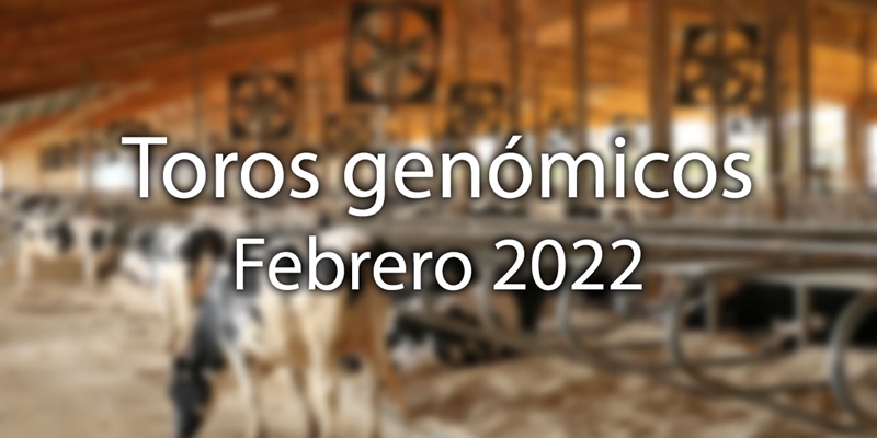 Nuevos toros genómicos con Prueba Oficial: Evaluación genómica de febrero 2022