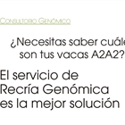 Necesitas saber cules son tus vacas A2A2? El Servicio de Recra Genmica es la mejor solucin