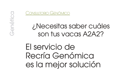 Necesitas saber cules son tus vacas A2A2? El Servicio de Recra...