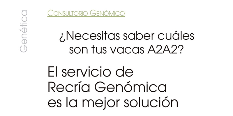 Necesitas saber cules son tus vacas A2A2? El Servicio de Recra Genmica es la mejor solucin