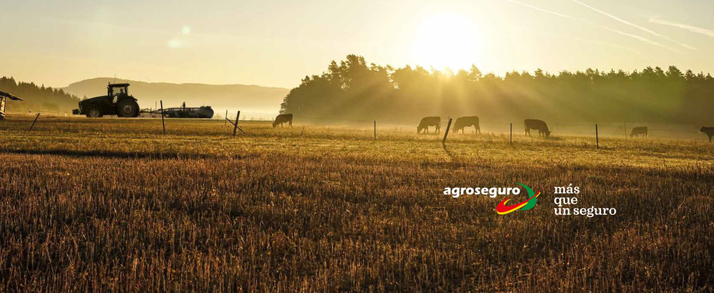 Casi el 90 % de los agricultores y ganaderos prev� renovar su p�liza de...
