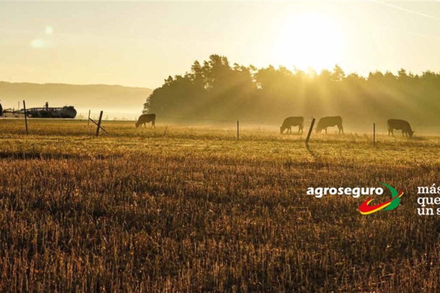 Casi el 90 % de los agricultores y ganaderos prev renovar su pliza de...