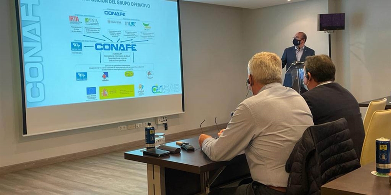 CONAFE y AFA participan en unas jornadas de la Cooperativa francesa Innoval para conocer el modelo de vacuno lechero en Andalucía