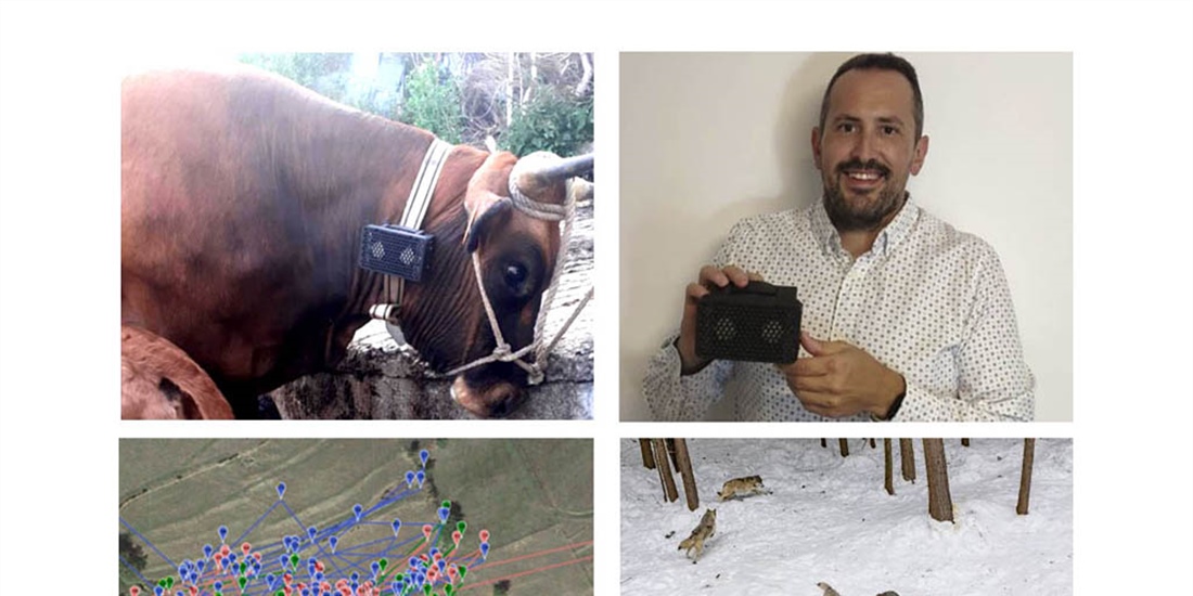 Un estudiante de UNED disea un prototipo para ahuyentar a los lobos...