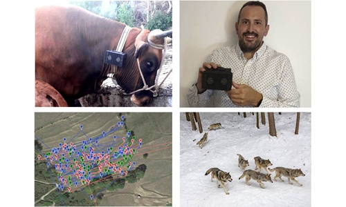 Un estudiante de UNED disea un prototipo para ahuyentar a los lobos...