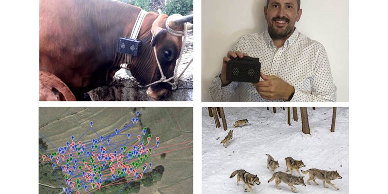 Un estudiante de UNED diseña un prototipo para ahuyentar a los lobos que acechan al ganado