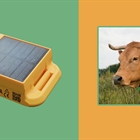 El grupo Zendal apoyará el proyecto de Innogando, que desarrolla un geolocalizador para el ganado
