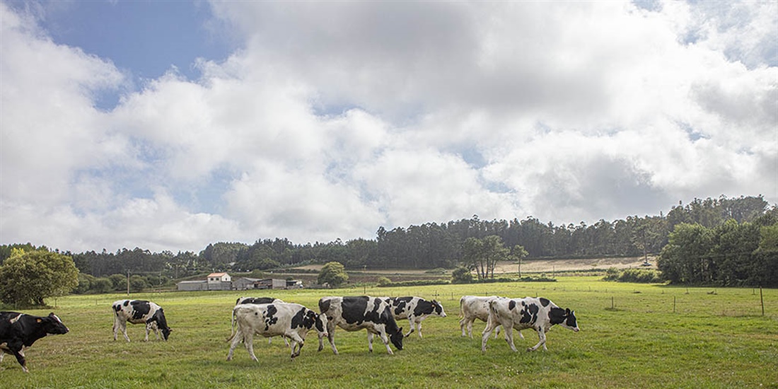 Galicia traslada al MAPA sus demandas para que acte de inmediato a...