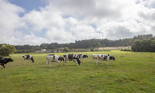 Galicia traslada al MAPA sus demandas para que acte de inmediato a...