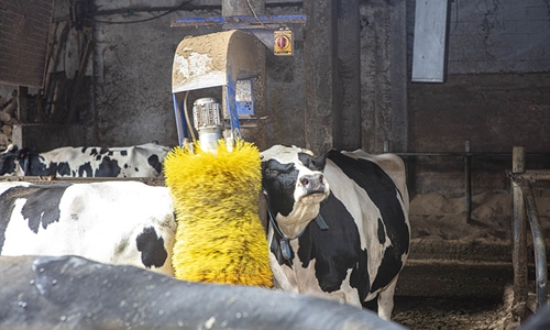 La Unin Europea aprueba un aditivo alimentario para reducir el metano...