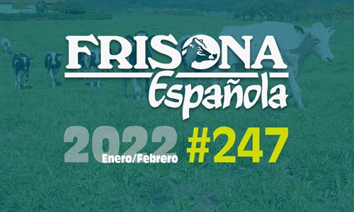 Ya disponible la revista Frisona Espaola n 247