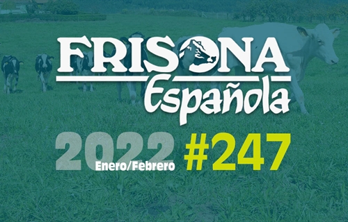 Ya disponible la revista Frisona Espaola n 247