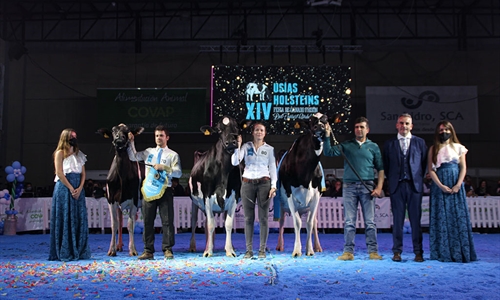 Copada Solomon Berna (Loma La Copada), Vaca Gran Campeona del concurso...