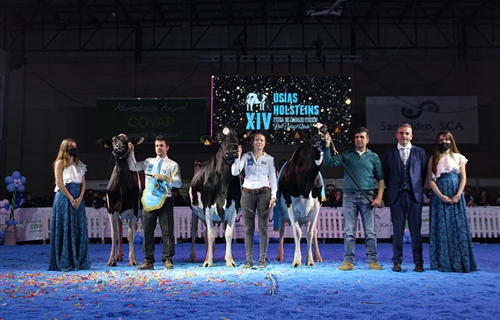 Copada Solomon Berna (Loma La Copada), Vaca Gran Campeona del concurso...