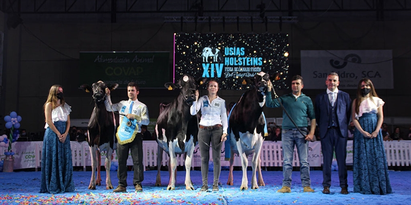 Copada Solomon Berna (Loma La Copada), Vaca Gran Campeona del concurso Usías Holsteins 2022