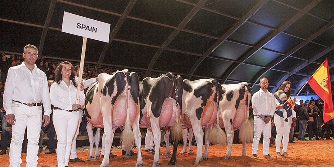 Cancelado el Campeonato Holstein Europeo 2022