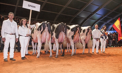 Cancelado el Campeonato Holstein Europeo 2022