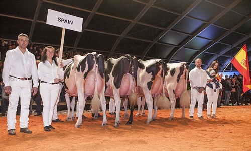Cancelado el Campeonato Holstein Europeo 2022
