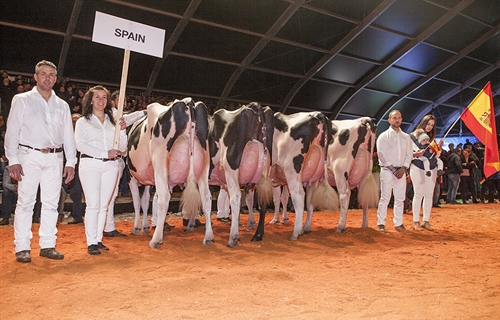 Cancelado el Campeonato Holstein Europeo 2022