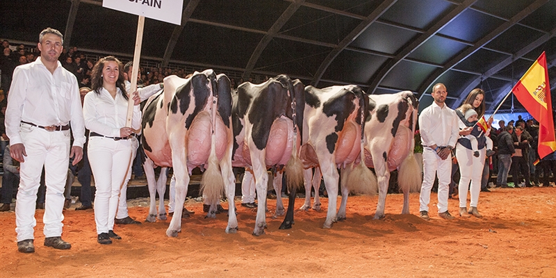 Cancelado el Campeonato Holstein Europeo 2022