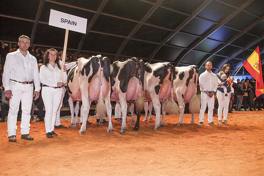 Cancelado el Campeonato Holstein Europeo 2022