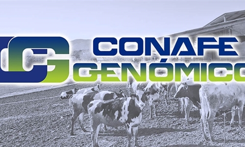 Actualización de las pruebas genómicas de Hembras CONAFE Marzo 2022