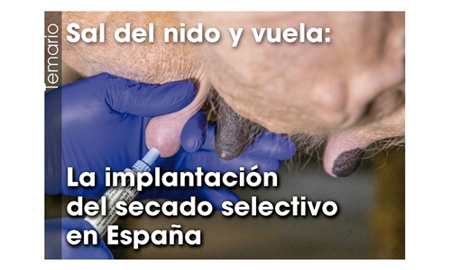 Sal del nido y vuela: La implantación del secado selectivo en España
