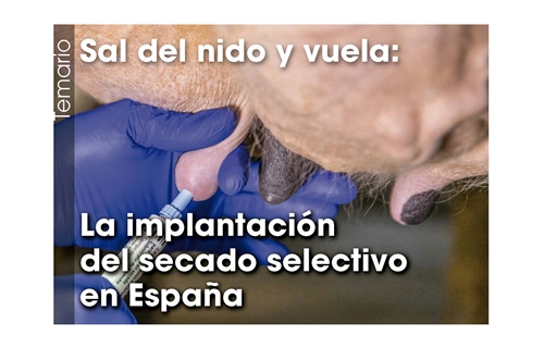 Sal del nido y vuela: La implantación del secado selectivo en España