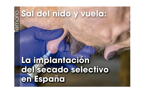 Sal del nido y vuela: La implantacin del secado selectivo en Espaa