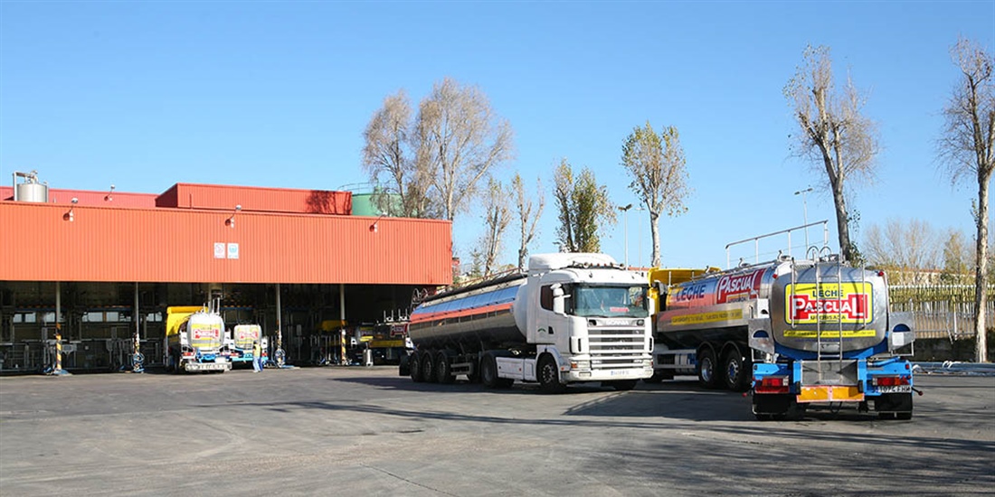 La huelga de transportes provoca colapso en el sector y...