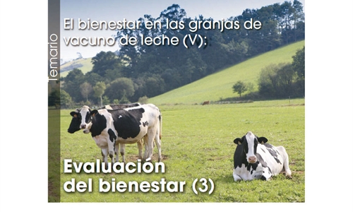 El bienestar en las granjas de vacuno de leche (V): Evaluacin  del...