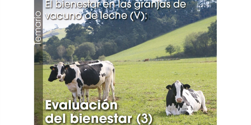 El bienestar en las granjas de vacuno de leche (V): Evaluación  del bienestar (3)