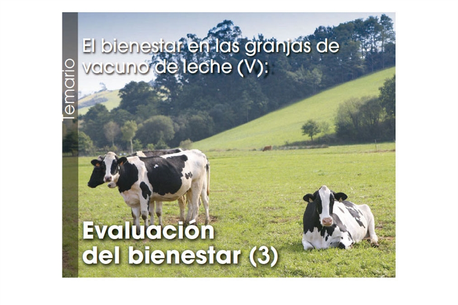 El bienestar en las granjas de vacuno de leche (V): Evaluacin  del...