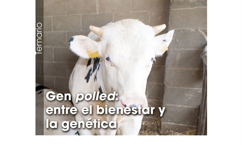 Gen polled: entre el bienestar y la gentica