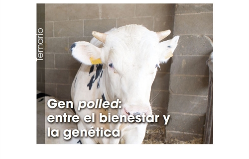 Gen polled: entre el bienestar y la gentica