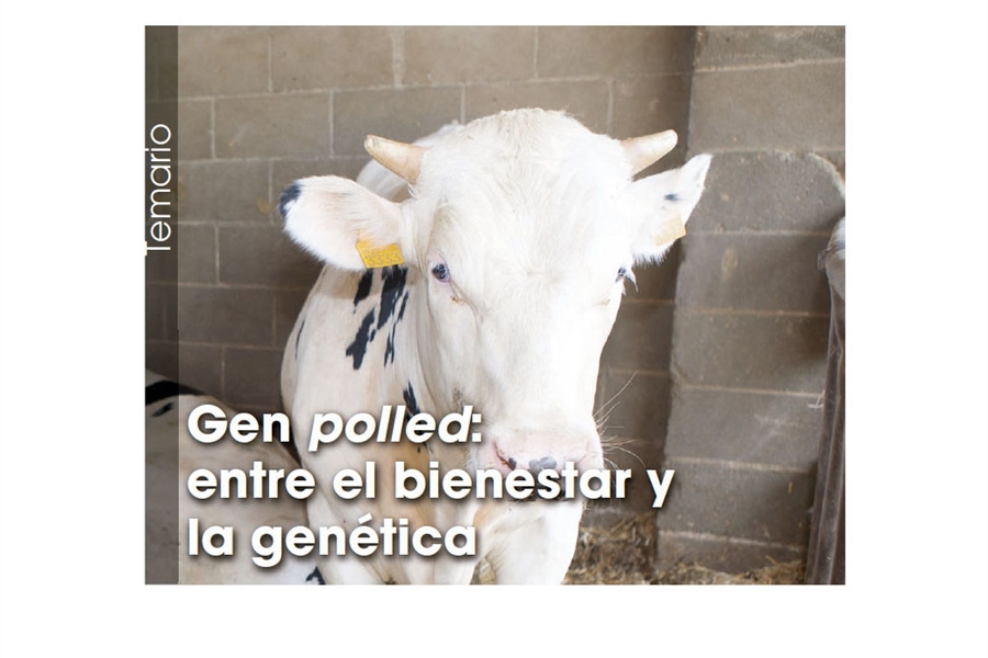 Gen polled: entre el bienestar y la gentica