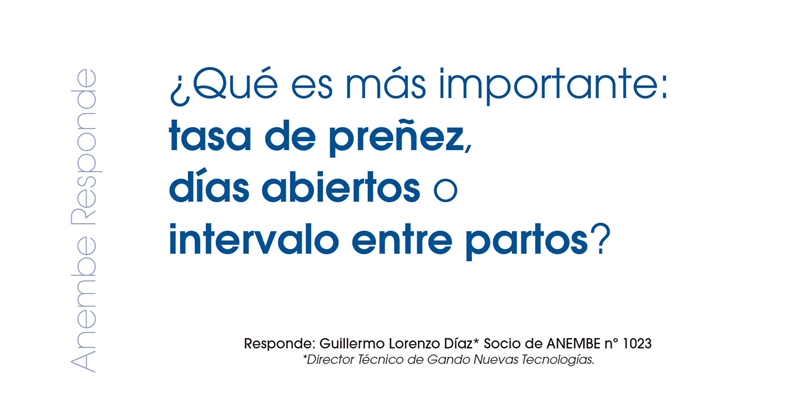 Qu es ms importante: tasa de preez, das abiertos o intervalo entre partos?